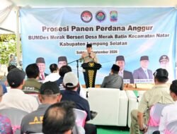 Kebun Anggur BUMDes Merak Batin Curi Perhatian Mendes PDT, Harapan Baru Ekonomi Warga Mulai Berbuah