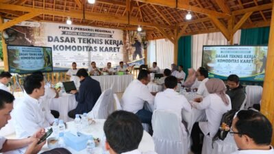 PTPN I (Persero) Regional 7 Gelar FGD Dasar Teknis Kerja Komoditas Karet di Kebun Way Lima