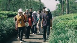 Wonosari Hadirkan Wisata Edukasi dari Kebun ke Cangkir