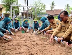 Teras HELAU Tuai Apresiasi Ketua TP PKK Provinsi Lampung, Bedah Rumah Terintegrasi Pekarangan Produktif Layak Dicontoh